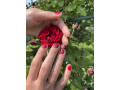 manikiur-gel-lak-pedikiur-gorod-razdelnaia-small-6