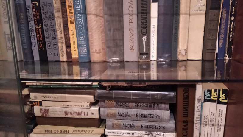 knigi-iz-licnoi-biblioteki-big-1