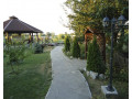 sdam-posutocno-i-pocasovo-doma-small-1