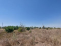 fontanka-1-ucastok-iuznoe-small-0