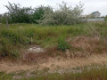 fontanka-3-ulica-dacnaia-small-0