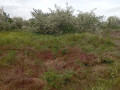fontanka-3-ulica-dacnaia-small-1