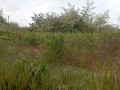 fontanka-3-ulica-dacnaia-small-3