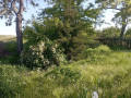 ucastok-v-svetlom-small-2