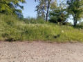 ucastok-v-svetlom-small-3