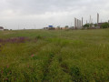 aleksandrovka-vozle-fontanki-small-1