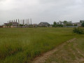 aleksandrovka-vozle-fontanki-small-2