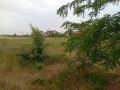 aleksandrovka-limanskii-raion-small-0