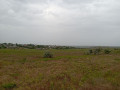 bolsoi-ucastok-v-aleksandrovke-small-0
