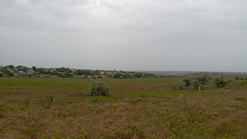 bolsoi-ucastok-v-aleksandrovke-big-0
