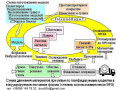 livarne-obladnannia-vidpraciuvannia-livarnoyi-texnologiyi-u-vasomu-cexu-small-3