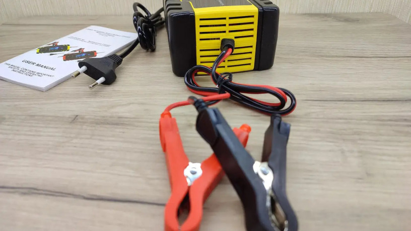 umnoe-zariadnoe-dlia-akkumuliatorov-12v24v-big-1