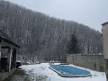 prodajetsia-budinok-zakarpatska-oblast-xustskii-raionsrokosovo-small-3