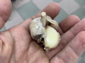 casnik-tovarnii-small-3