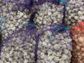 casnik-tovarnii-small-2