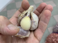 casnik-tovarnii-small-0
