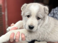 shhenki-sao-alabaia-anabel-small-4