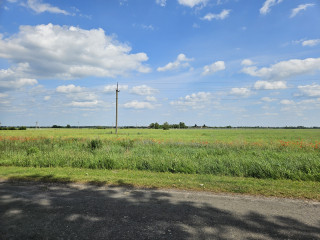 Продам земельну ділянку, с. Жидичин, загальна площа 1,1845 га