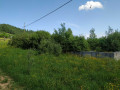 zemlia-v-karpatax-small-4