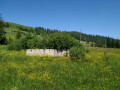 zemlia-v-karpatax-small-0