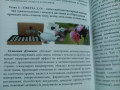 cai-puer-tibetea-tibemed-z-tibeta-small-1