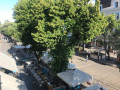 elitnaia-kvartira-na-deribasovskaia-ulica-small-3