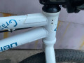 bmx-magellan-crazy-small-2
