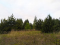 prodam-dilianku-2-ga-osg-v-smtmakariv-small-3