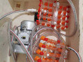 vakuumnii-ukladac-iajec-na-30-st-stvega-vacuum-egg-lifter-h30-small-1