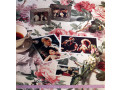 vinilovaia-plastinka-barbra-streisand-memories-small-4