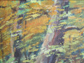 zasxudukr-sirko-vi-xm-nakleen-na-karton-roz-38x26-sm-1980-roki-uzgorod-small-2
