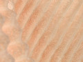 rusnik-sauna-small-7