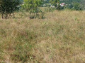 zemelna-dilianka-57-sotok-ivankovici-small-0