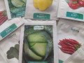 nasinnia-kavuniv-dini-ta-insi-baxcevi-kulturi-small-5