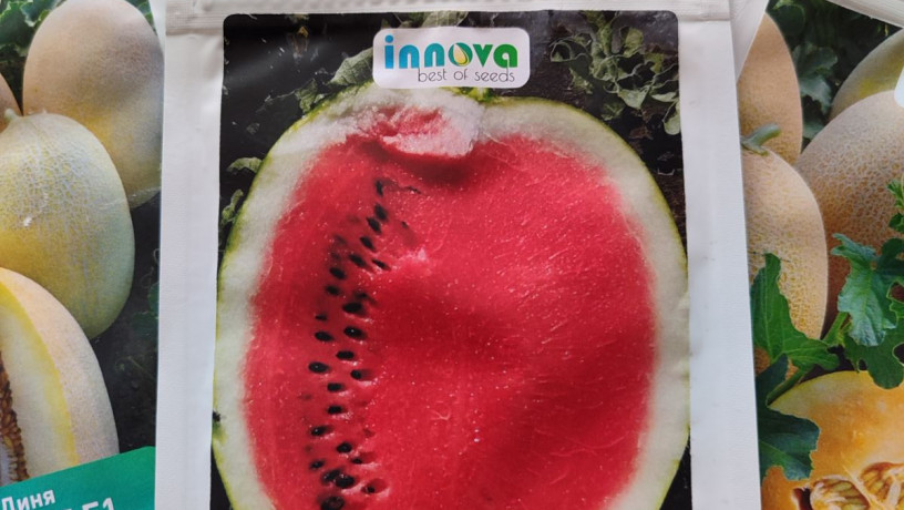 nasinnia-kavuniv-dini-ta-insi-baxcevi-kulturi-big-2