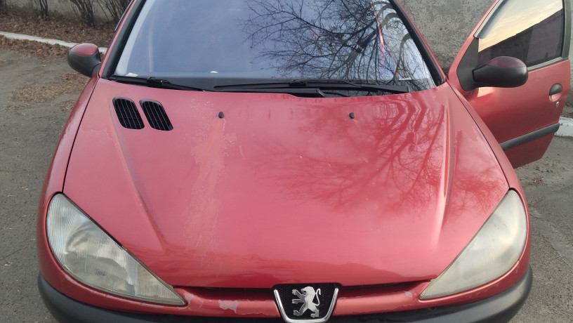 peugeot-206-big-1
