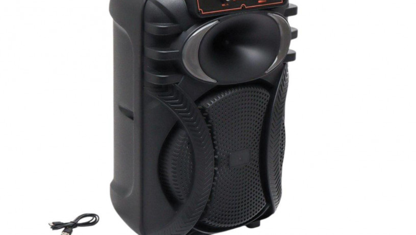 portativna-kolonka-zqs10101-bliutuz-z-2-mikrofonami-karaoke-big-0