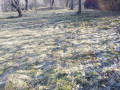 privatizovana-dilianka-zemli-075ga-lis-gori-small-0