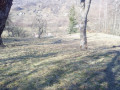 privatizovana-dilianka-zemli-075ga-lis-gori-small-4