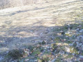 privatizovana-dilianka-zemli-075ga-lis-gori-small-7