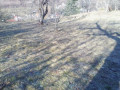 privatizovana-dilianka-zemli-075ga-lis-gori-small-1