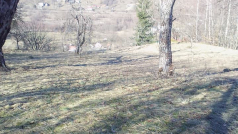 privatizovana-dilianka-zemli-075ga-lis-gori-big-4