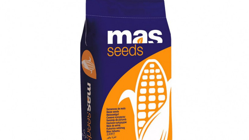 nasinnia-kukurudzi-mas-44a-fao-380-big-0